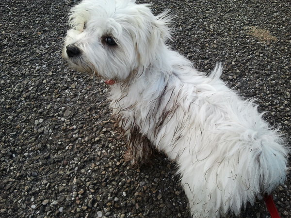 mijn favoriete speelgoed...