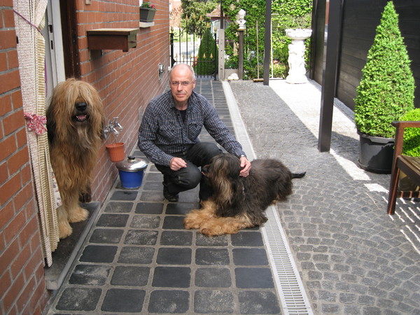 Briard