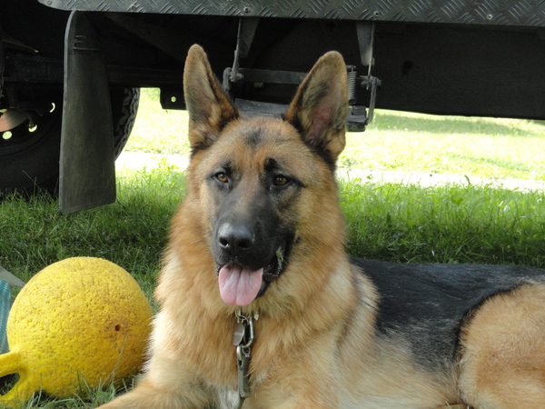 Gék op mijn voetbal!