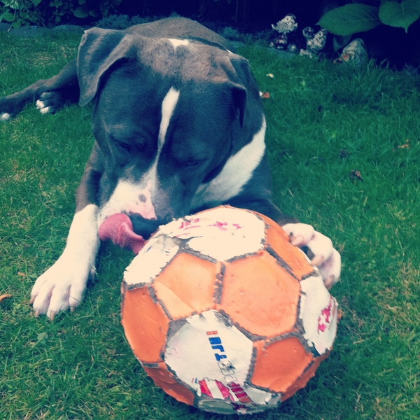 hij likt zijn lippen er bij af... 