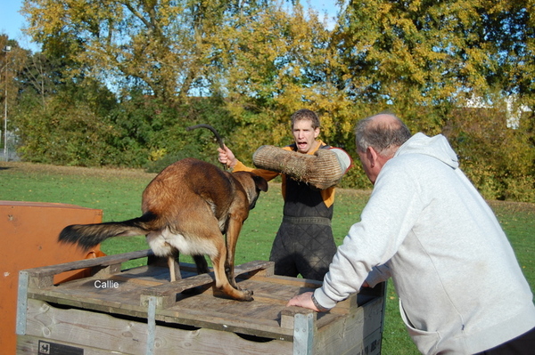 Kennel Van Goeden Huize