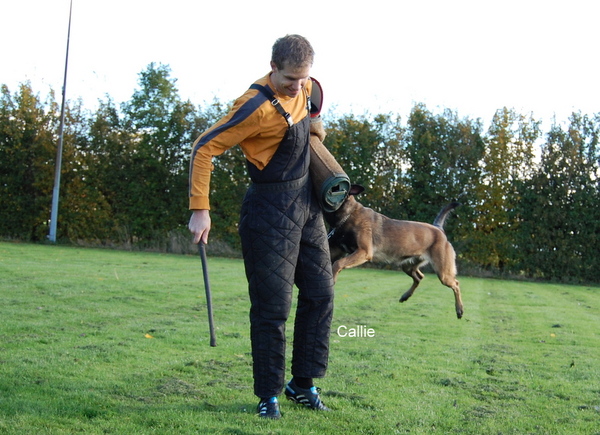Kennel Van Goeden Huize