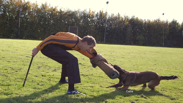 Kennel Van Goeden Huize