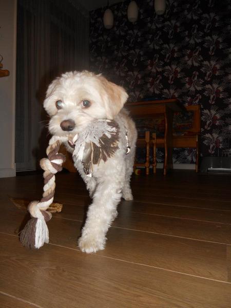 Mijn Touw!.. is van mij :)