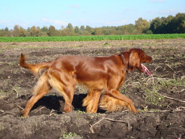 Els van Hoorn en Claudia Damstra