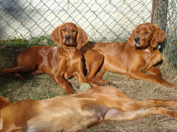 Els van Hoorn en Claudia Damstra