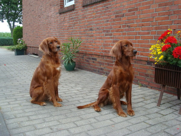 Els van Hoorn en Claudia Damstra