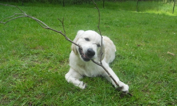 Lekker buiten spelen!