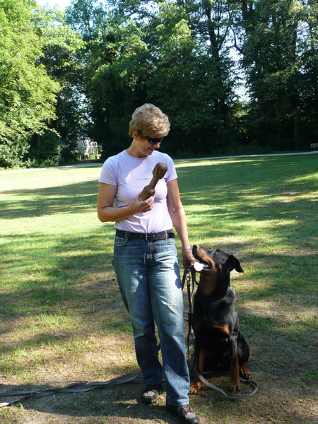 Admirable chien