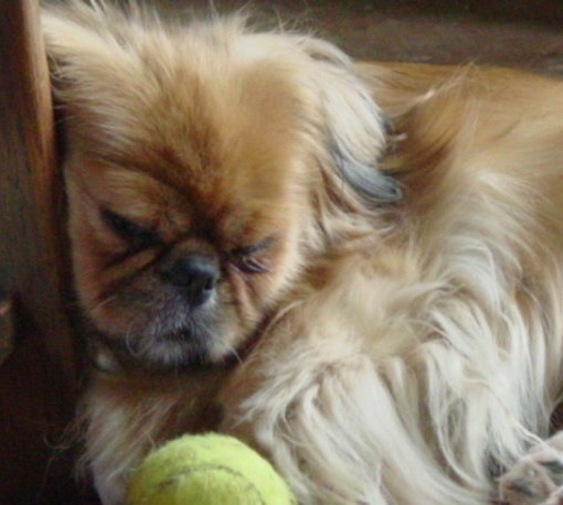 eerst slapen,dan ga ik spelen.