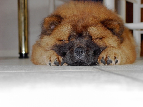 IK BEN ER WEL MOE VAN