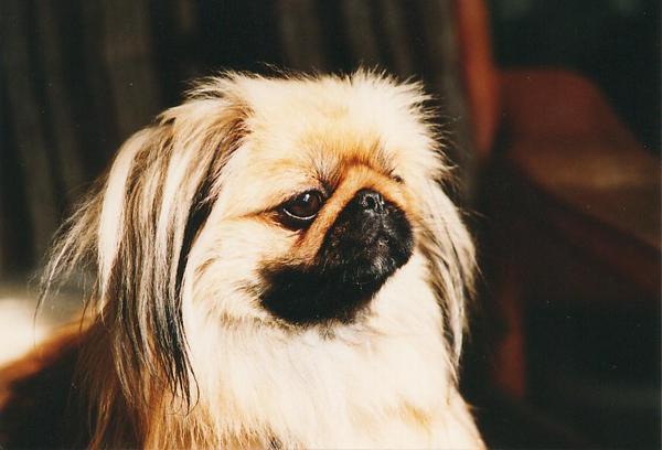 even lekker in het zonntje