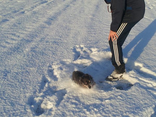 Ravotten wat is het leuk