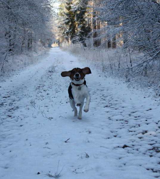 Mijn eerste sneeuw!! 