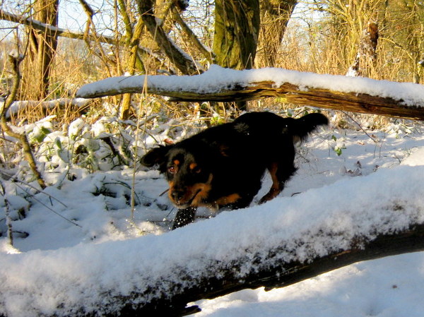 Kruip door sluip door