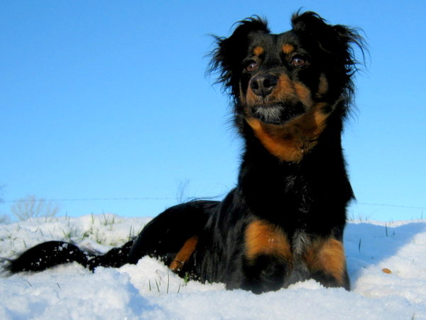 Een plaatje in de sneeuw