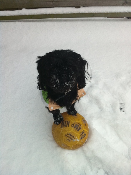 LET it Snow, LET it Snow,LET it Snow