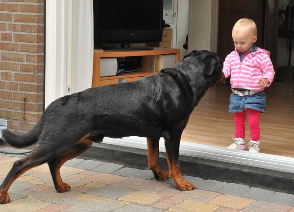 Demi sluit vriendschap