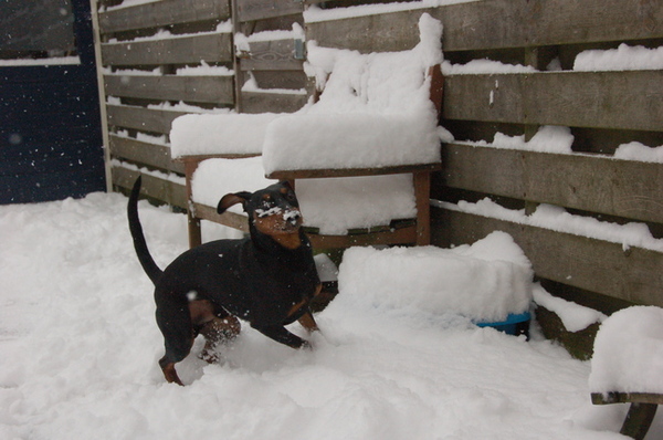 Zijn dag kan niet meer stuk!
