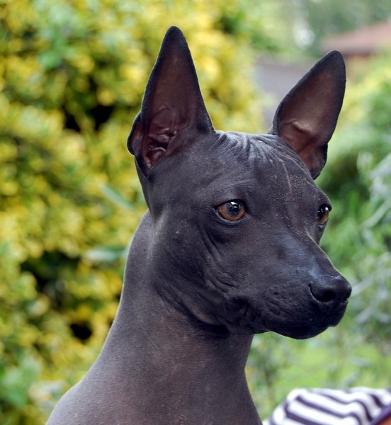 Van Hof ter Eeckhout