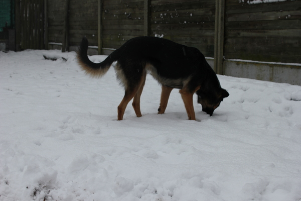 Even kijken wat er onder de sneeuw ligt