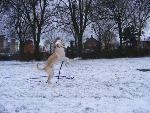 vangen!!!... oeps mis