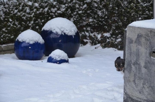 Moet ik echt terug door de sneeuw?