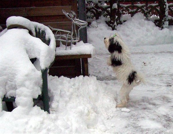 Jou ken ik nog niet...