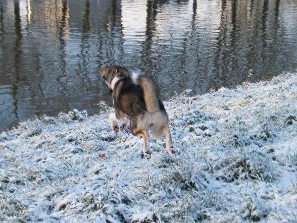 Voetjes van de grond!