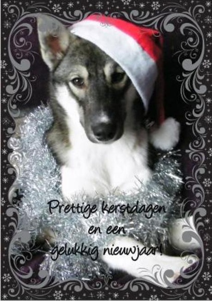 Prettige kerstdagen en een gelukkig 2013