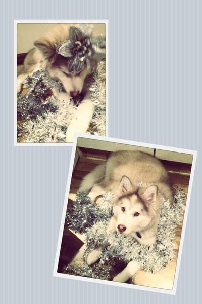 kerstboom mee helpen versieren :) 