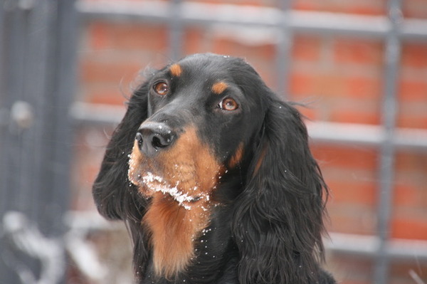 waar blijft nou de rest