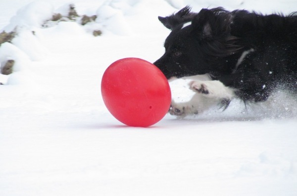 Lucky met zn running-egg