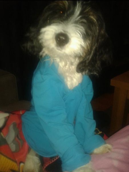 Charlie heeft het koud