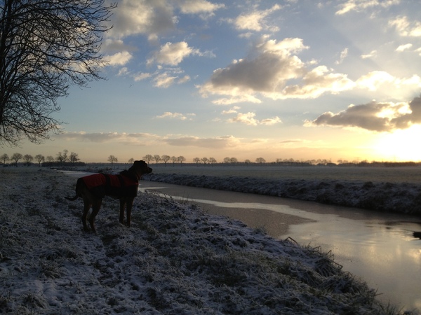 Winter 2012, de eerste sneeuw