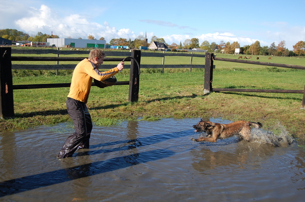 Kennel Van Goeden Huize