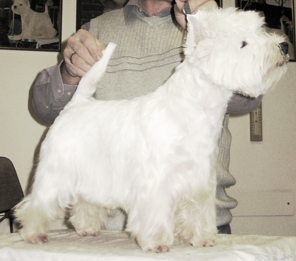 FROM CASTLE OF BEAUTIES