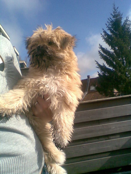 Zoe heeft in de tuin gewerkt!!!!!!