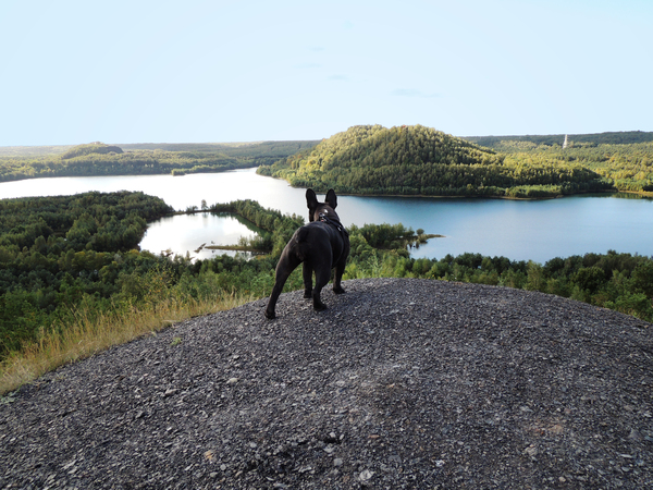 Een oogje in het zeil houden