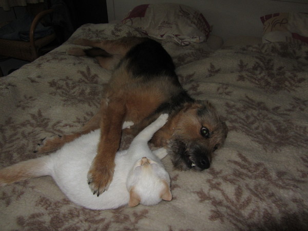 Twee handen op 1 buik.