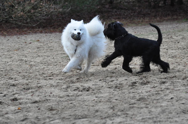 Aan zet zijn,of de beurt hebben.