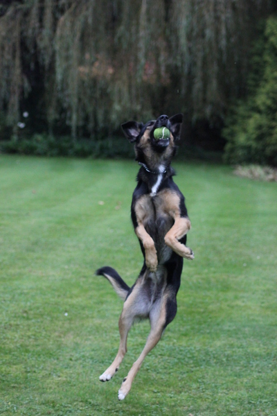 Een gat in de lucht springen