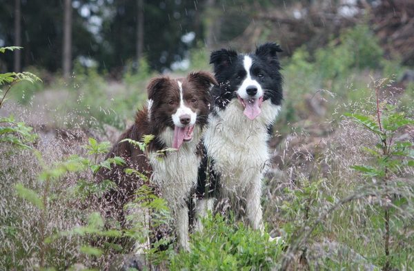 horen zien en zwijgen