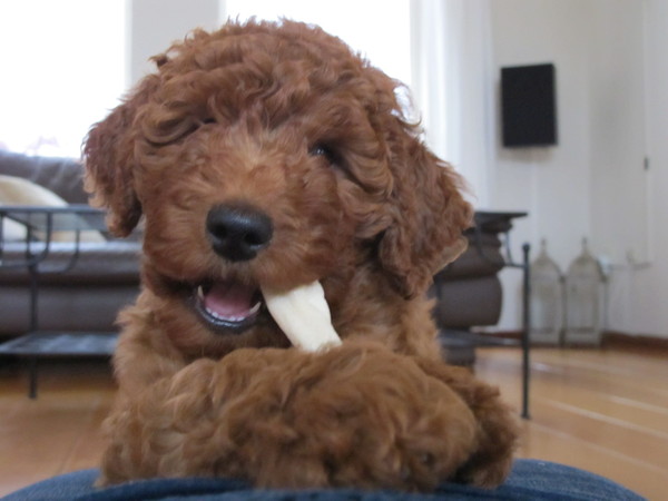 Een gekregen paard niet in de bek kijken!!