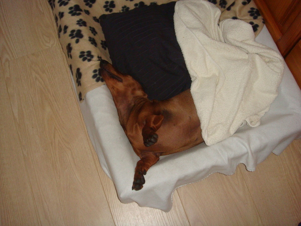 Geen slapende hond wakker maken