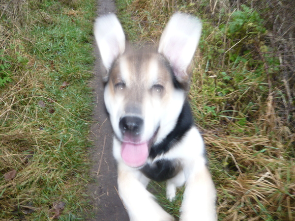 iemand de stuipen op het lijf jagen