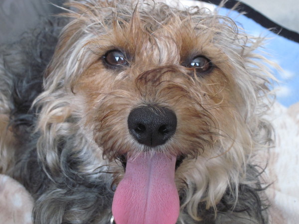 Het zonnetje in huis!