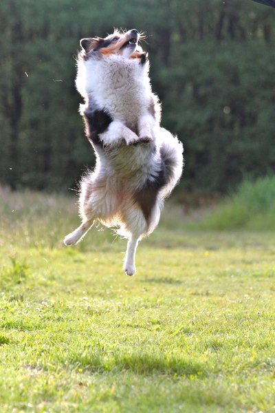 Een gat in de lucht springen