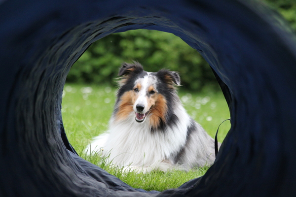 Licht aan het einde van de tunnel