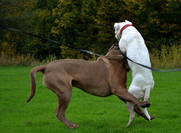 van je vrienden moet je het hebben